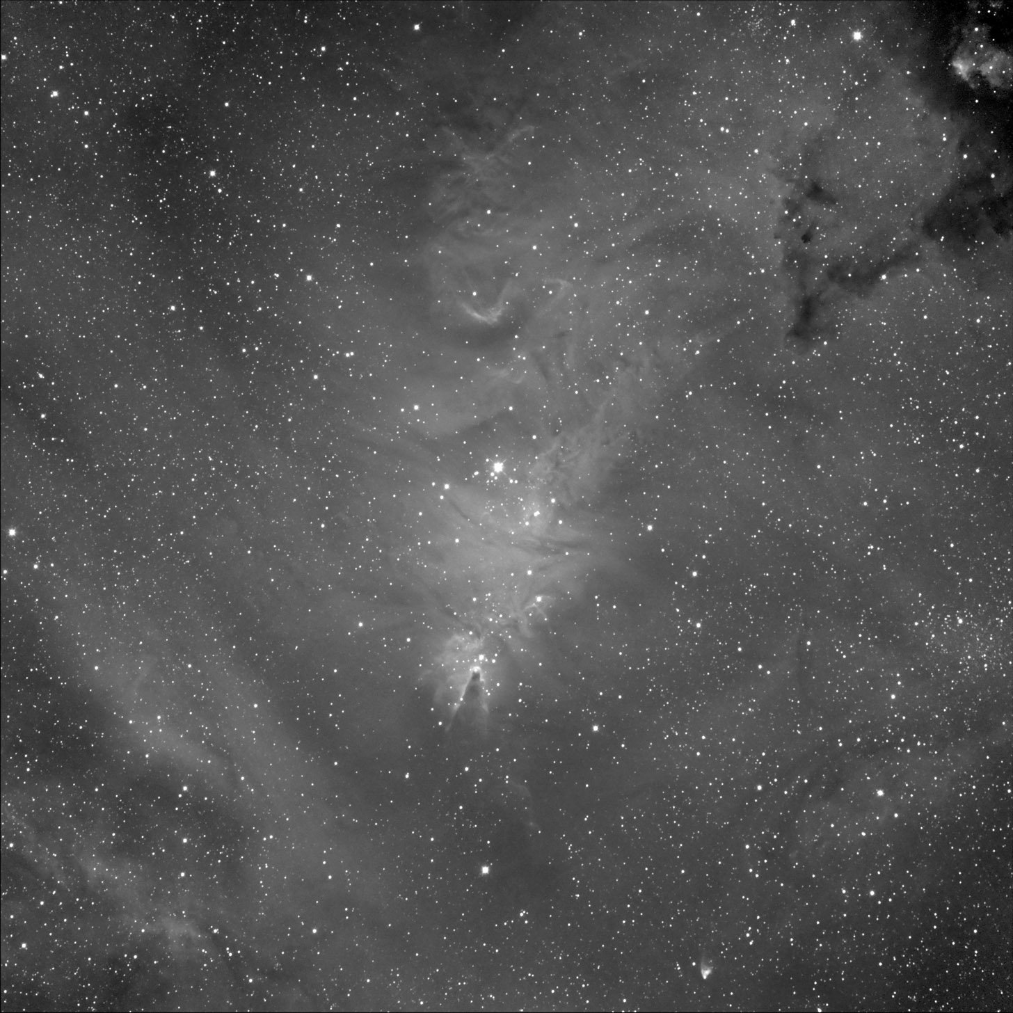 Cone Nebula