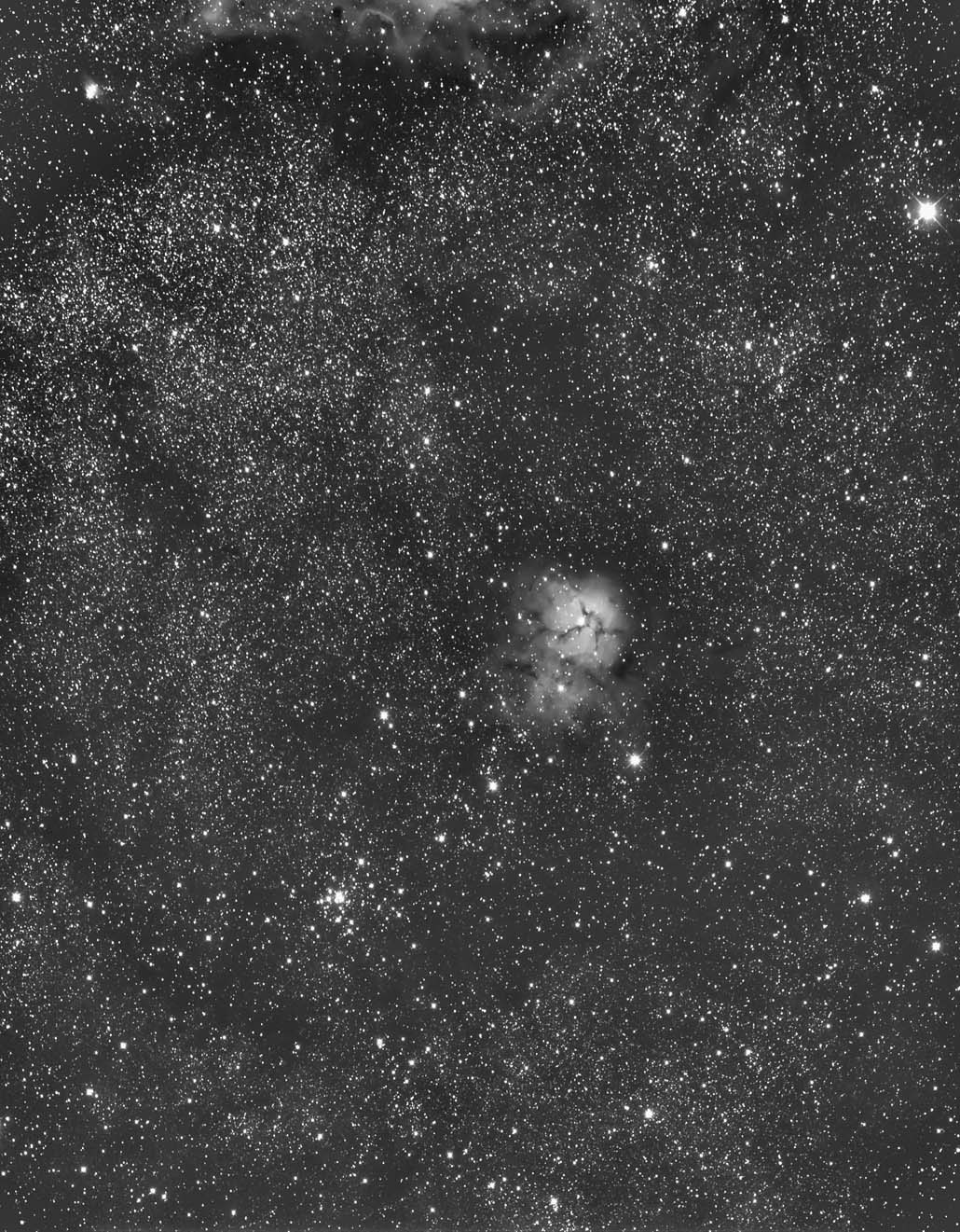 Trifid Luminance