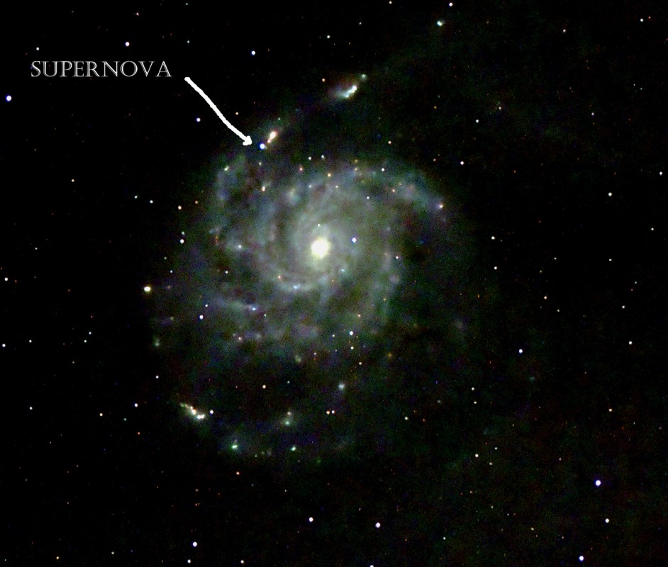 Newly Discovred Supernova in M 101