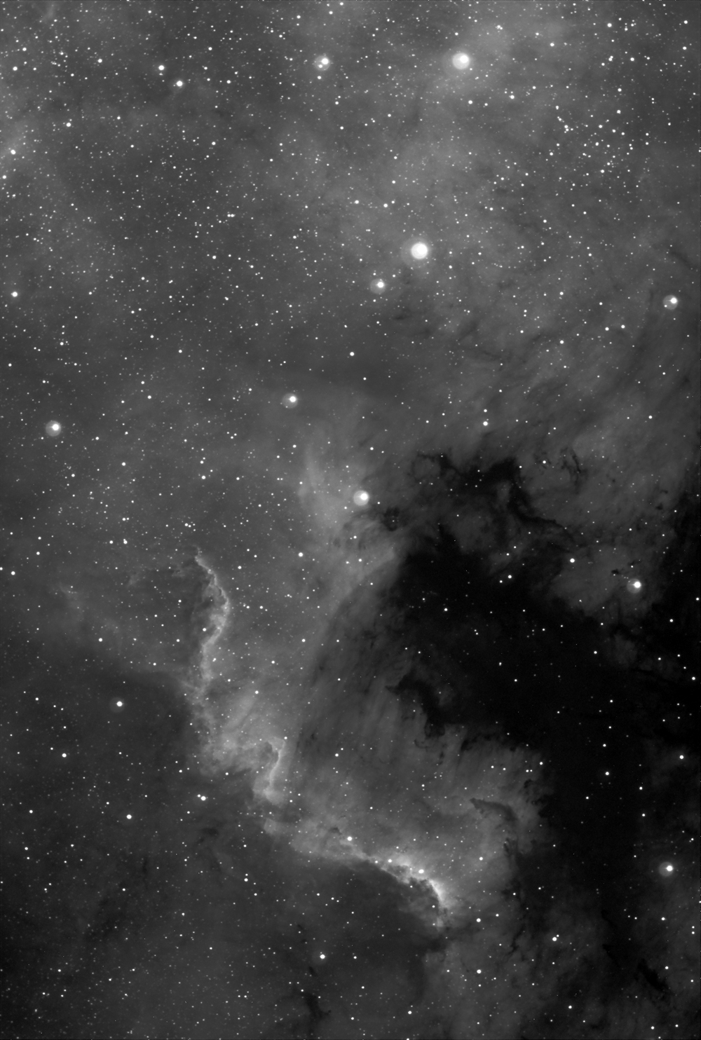 ngc7000 nord america