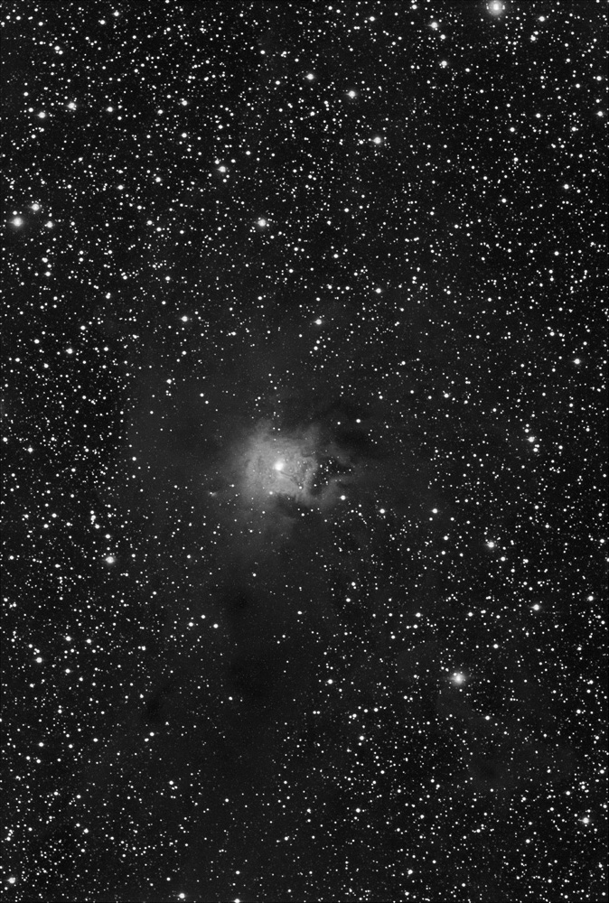 ngc7023 iris