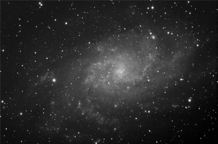 M33