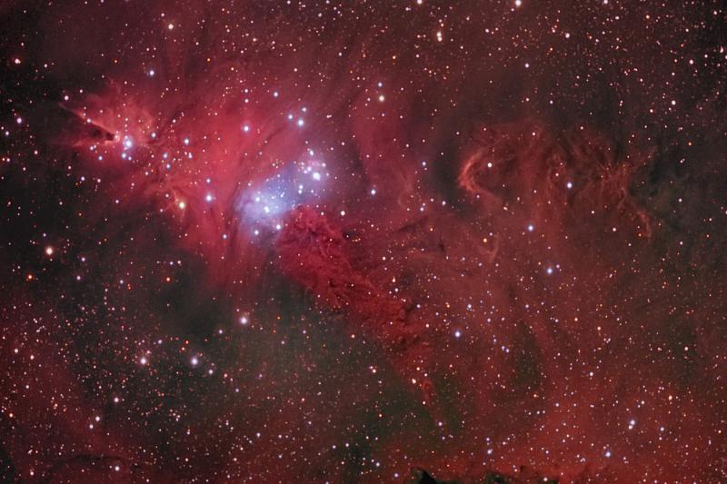 NGC2264