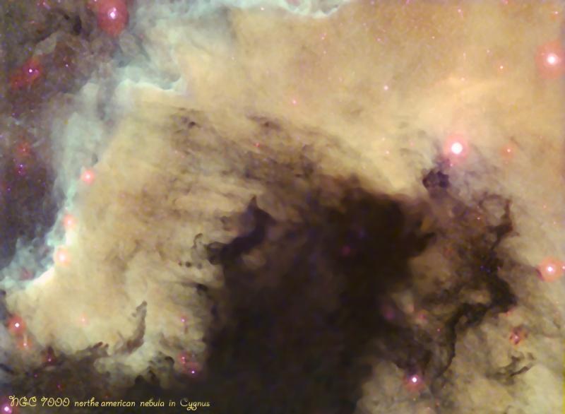 ngc7000