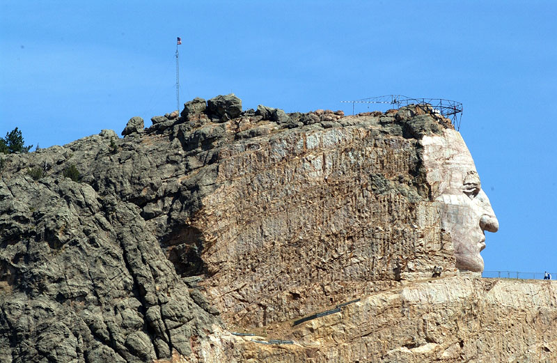 Crazy Horses Head with Flag