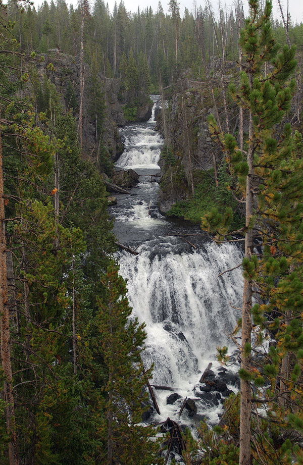 Kepler Cascades