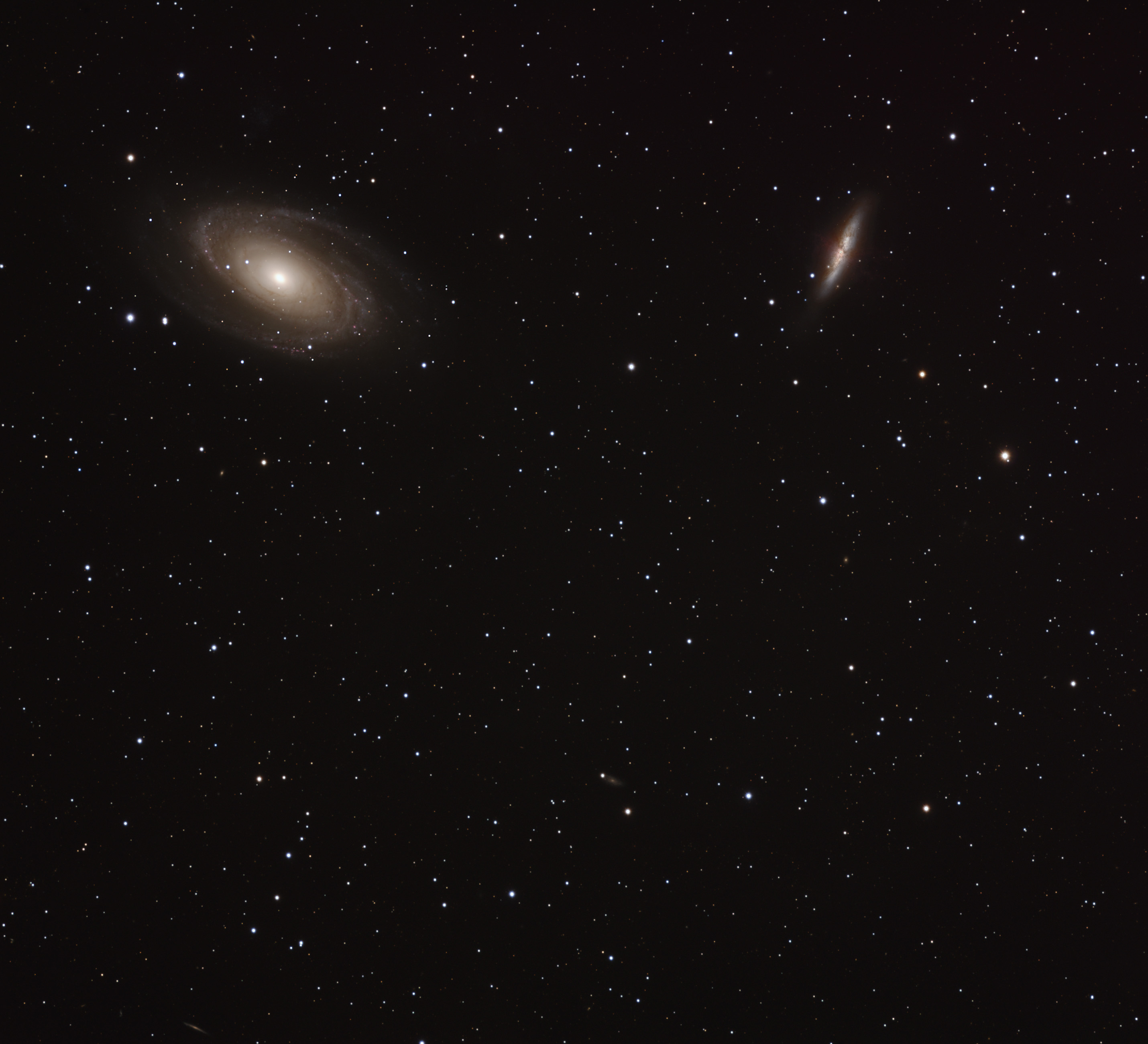 M81 M82 Wide Field