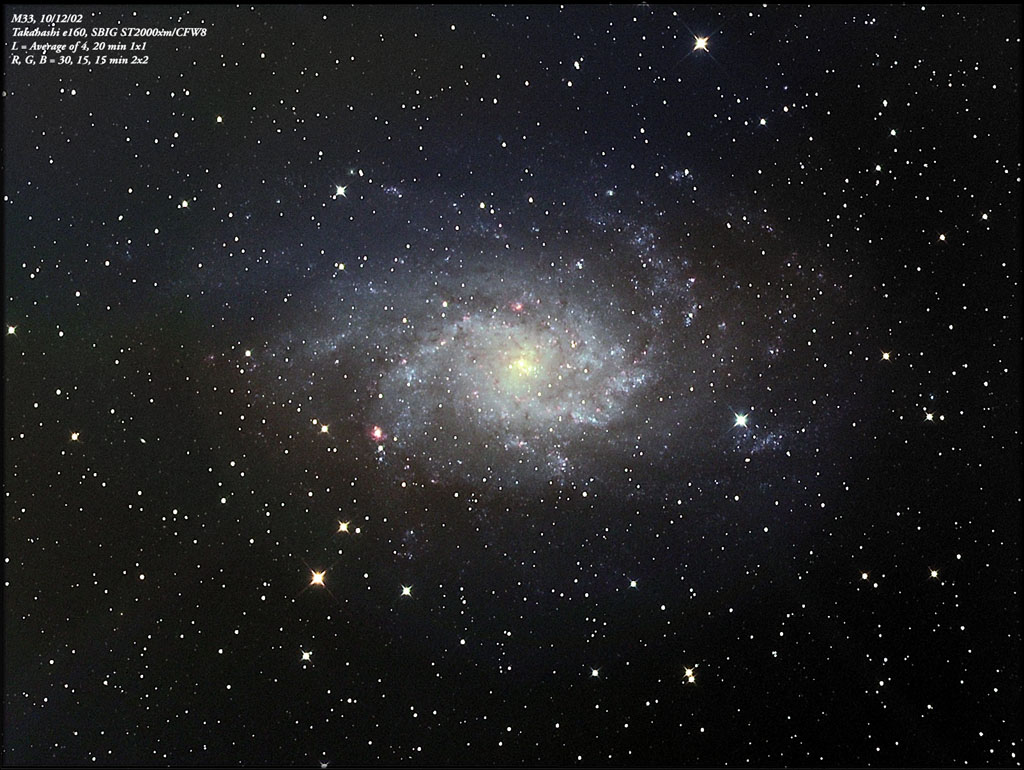 M33