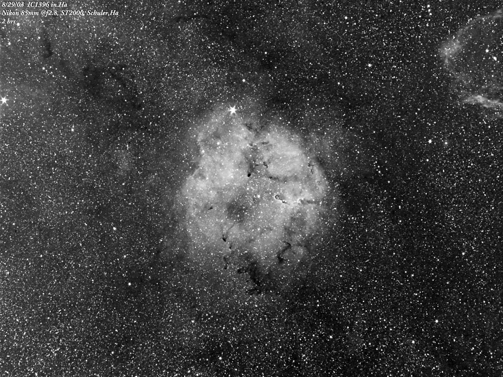 IC1396 in Ha