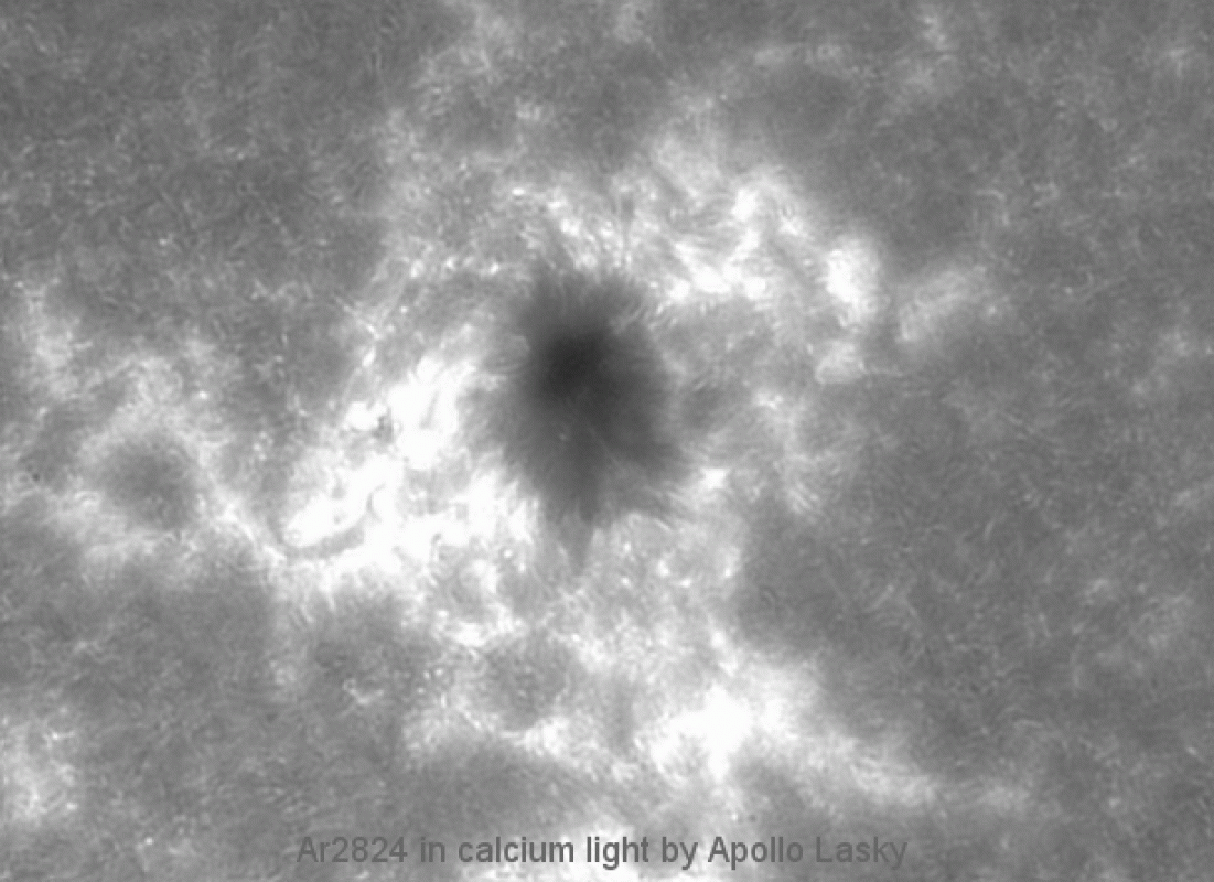 high resolution solar calcium timelapse.