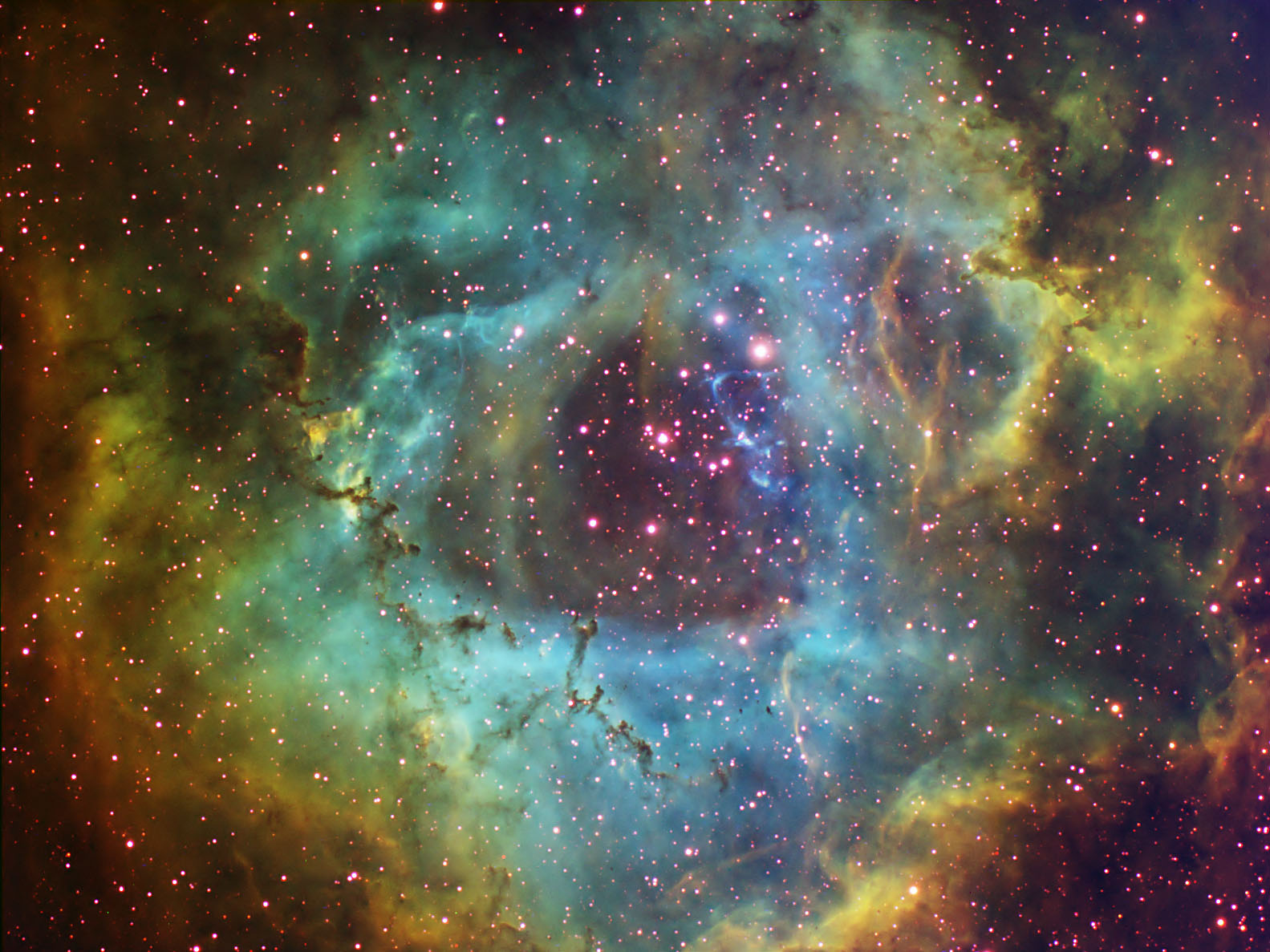 Rosette Nebula Emission Line Photo