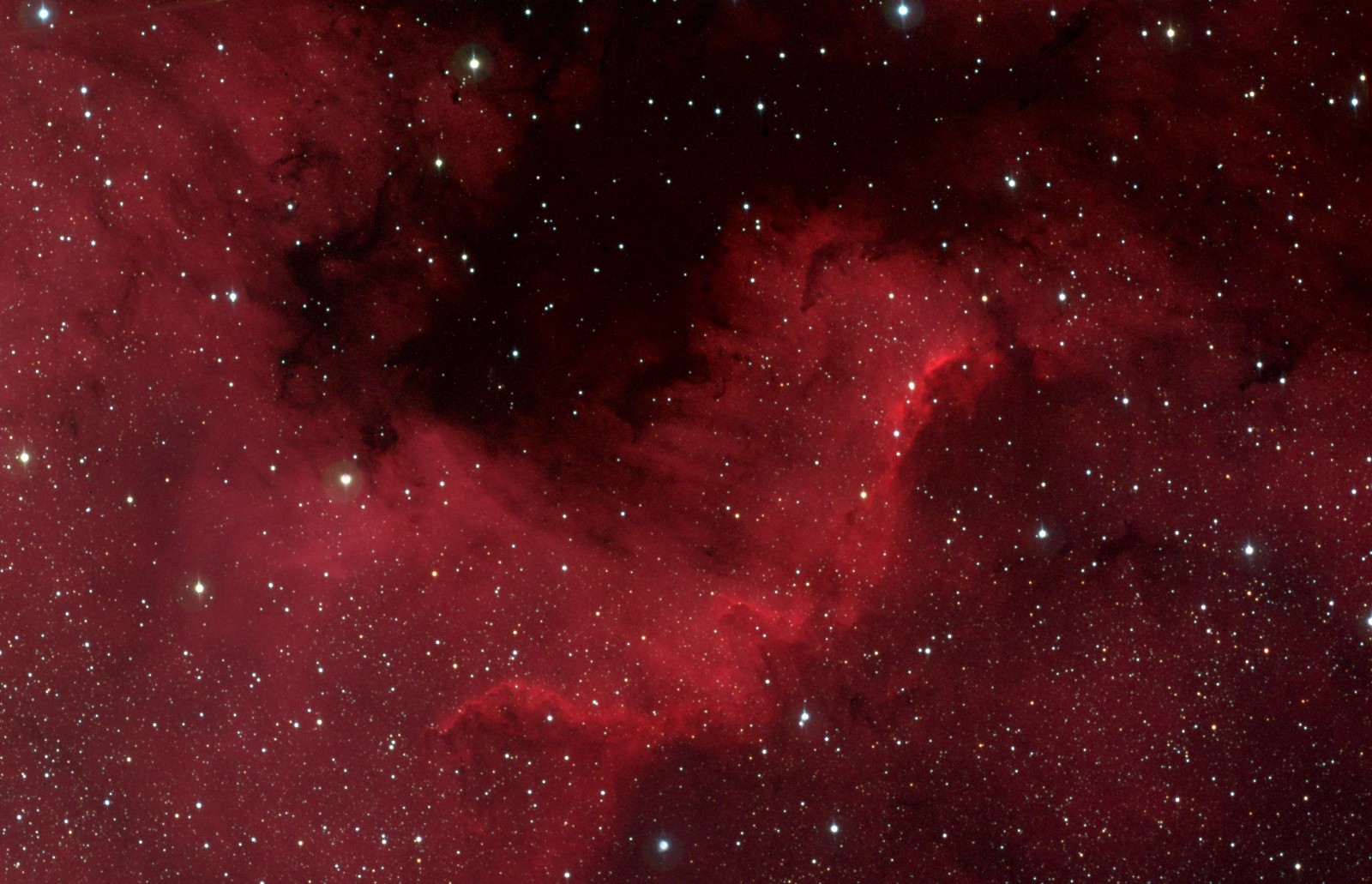 NGC7000