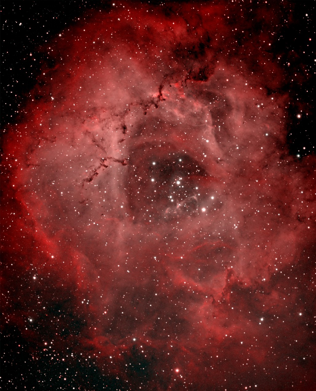 Rosette Narrowband