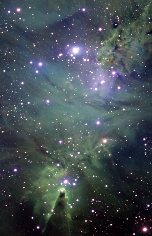 Cone/Fox Nebula