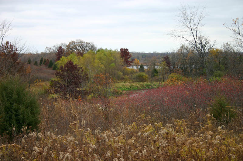 wisconsin fall meadow