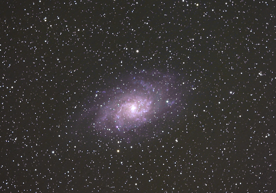 M33