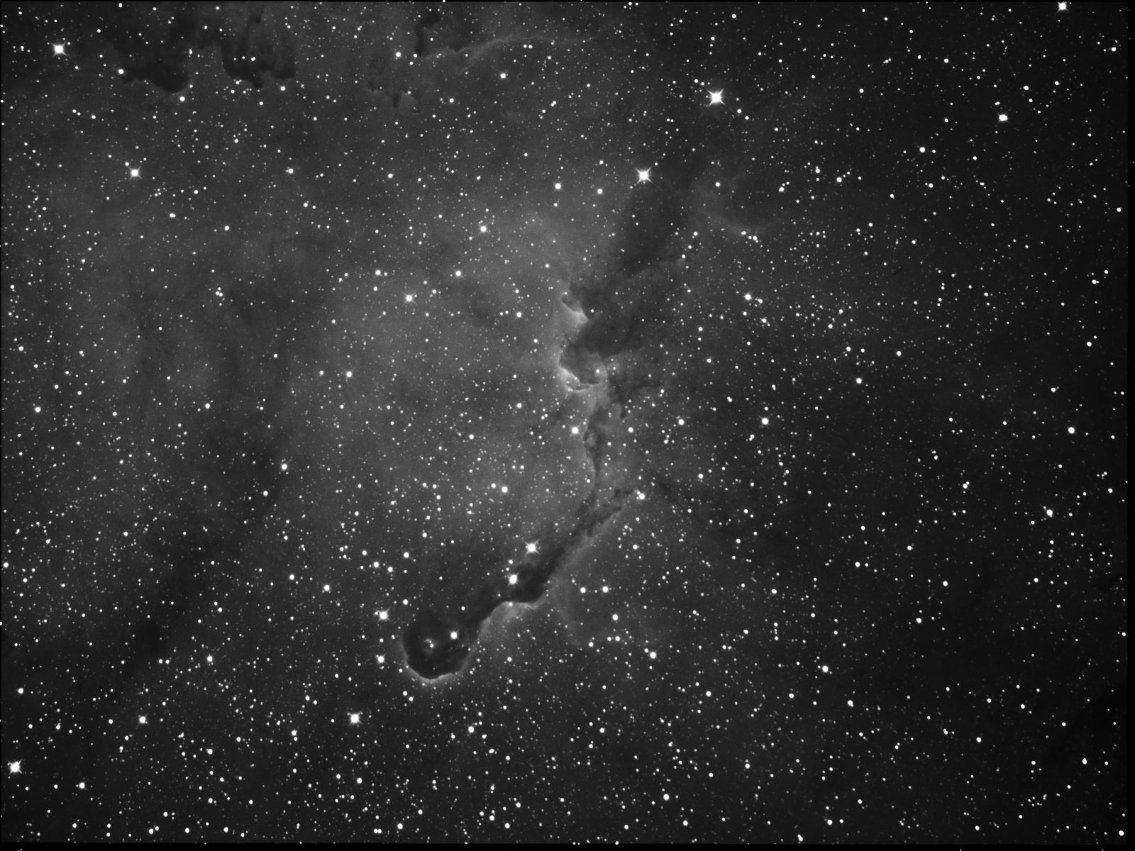Vdb142 - The Elephants Trunk