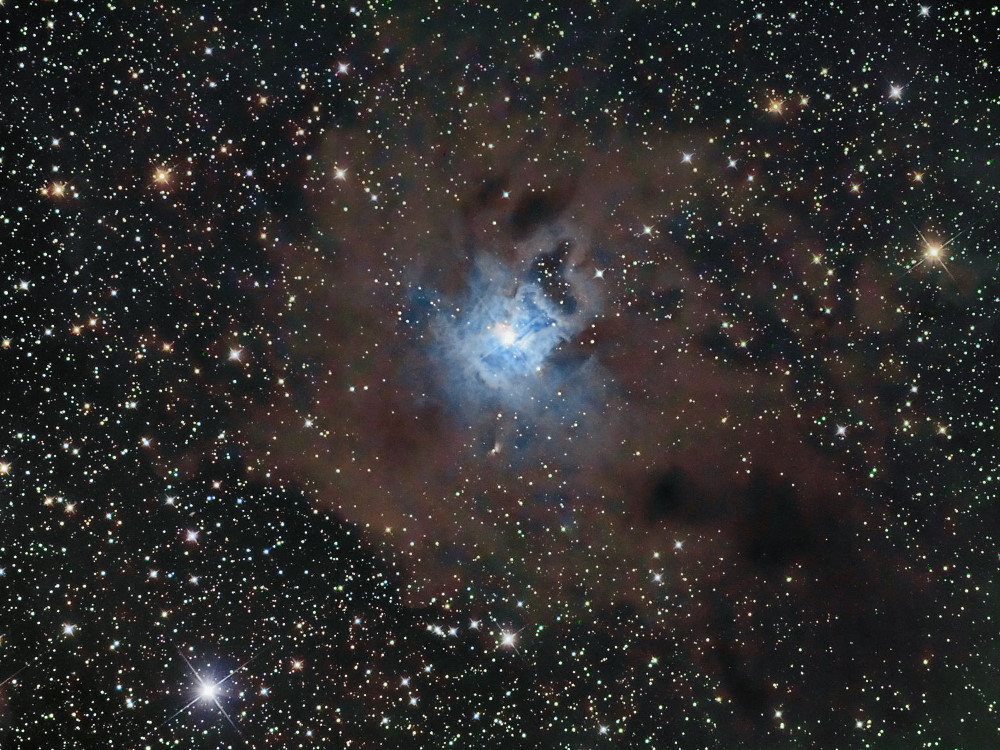 The Iris Nebula - NGC7023