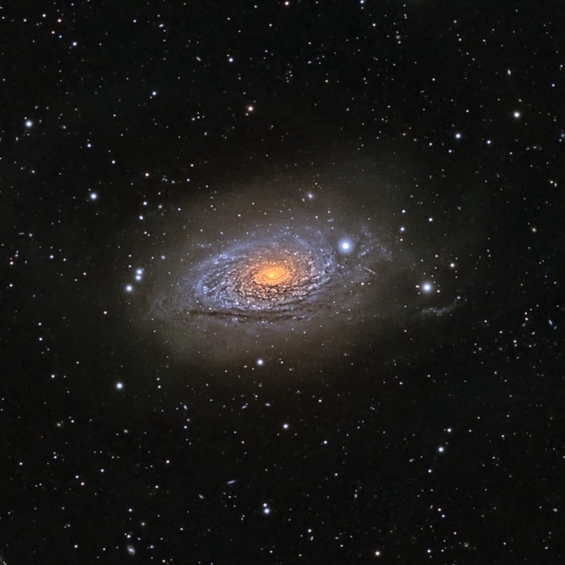 Sunflower Galaxy (M63)