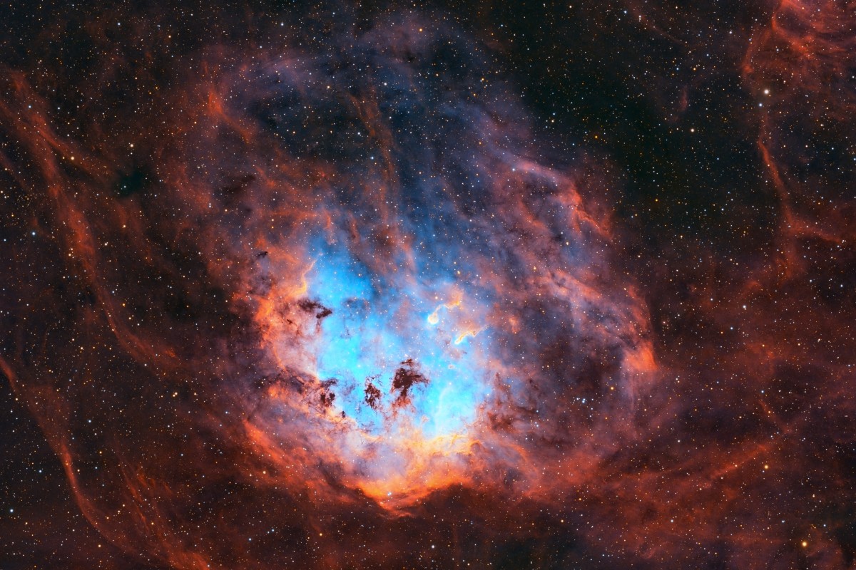 Tadpoles (IC410)