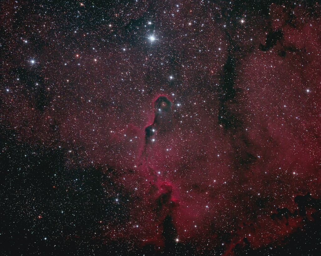 Elephant Trunk Nebula