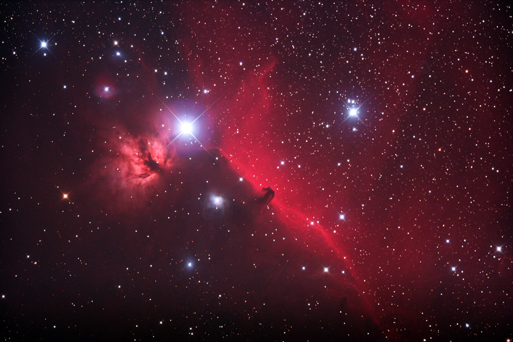 Horsehead