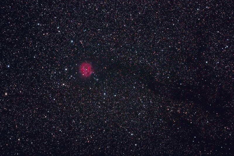 IC5146