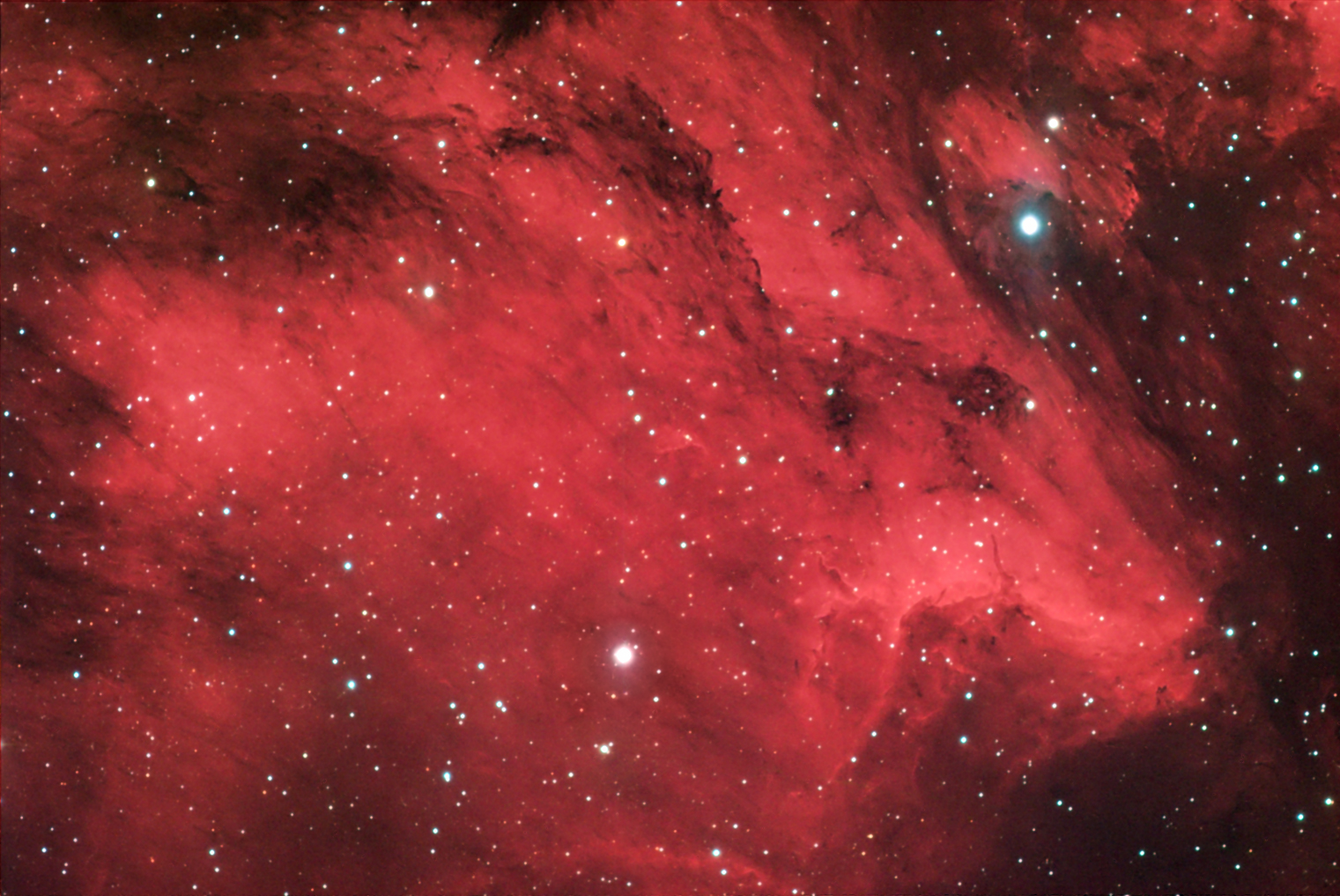 Pelican Nebula