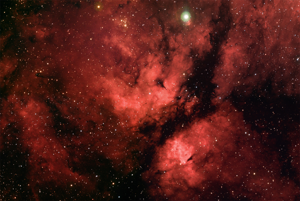 Gamma Cygni Region/Butterfly Nebula