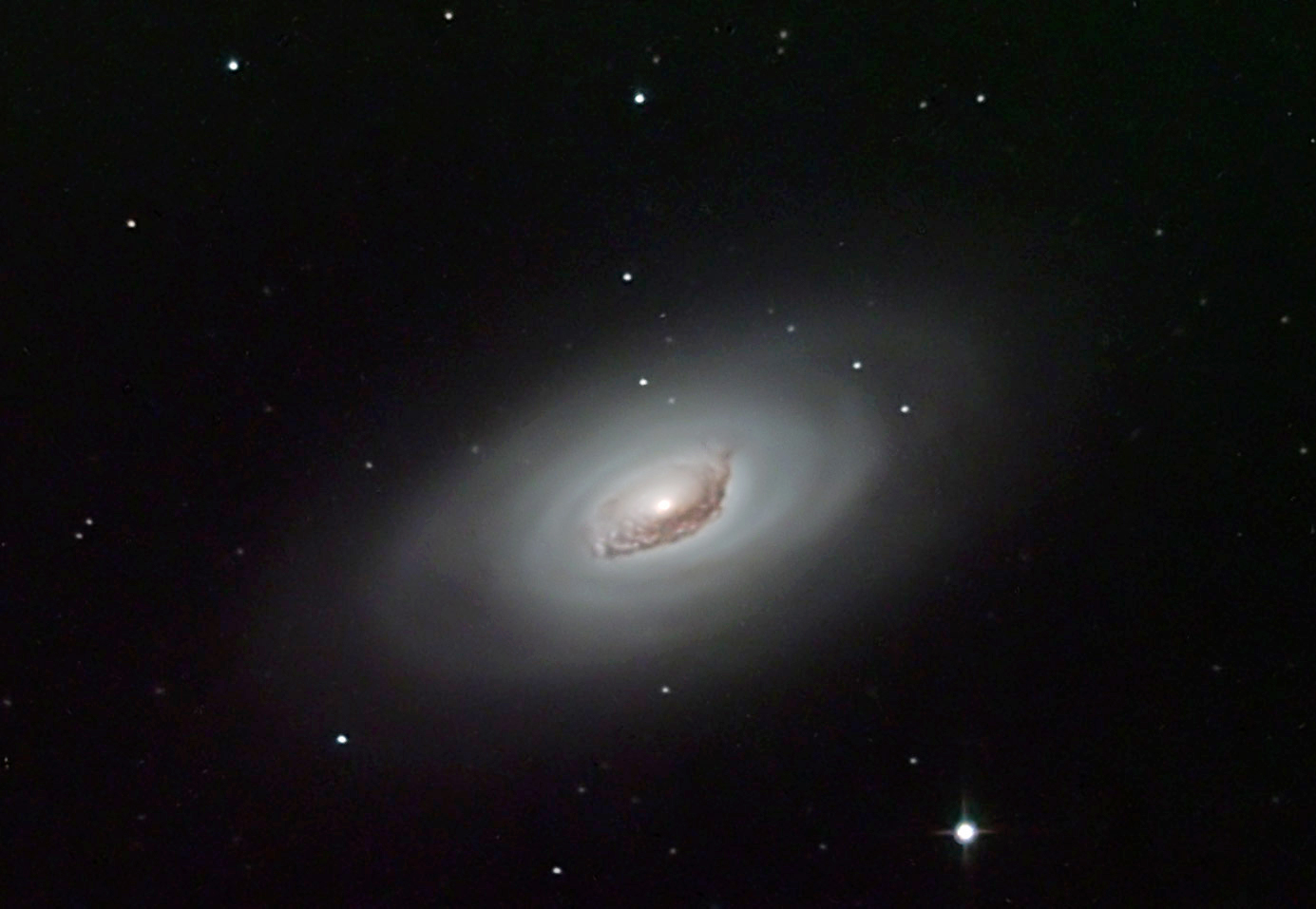 M64
