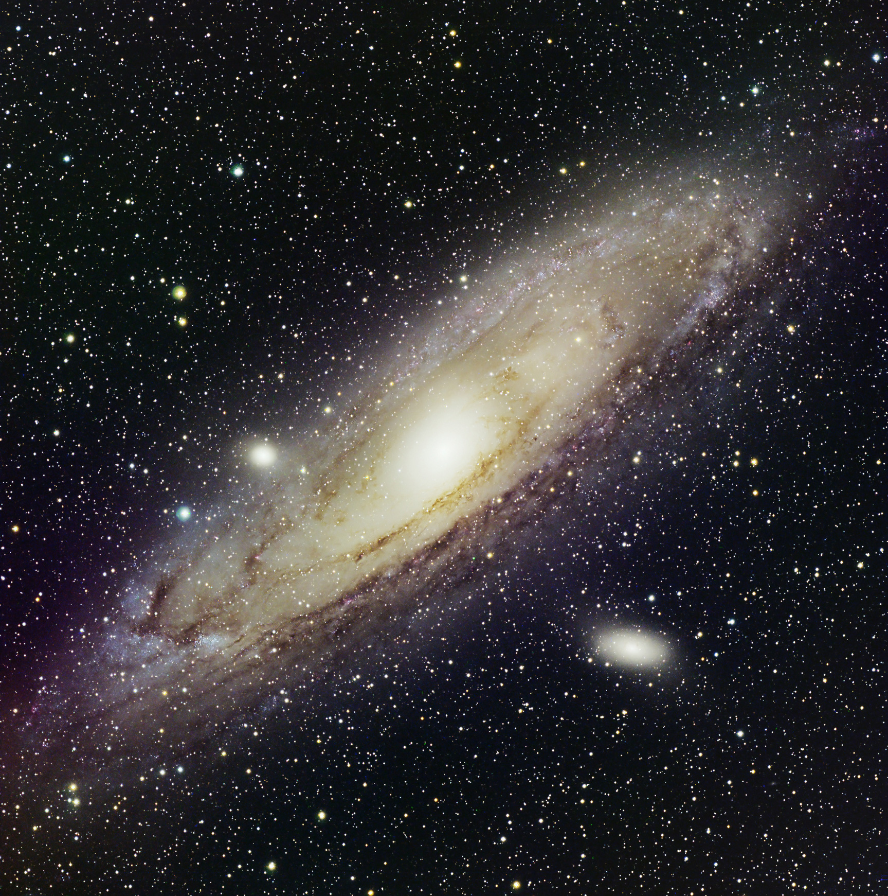 M31