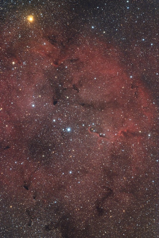 Elephant Trunk Nebula RGB