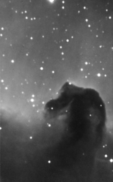 Horsehead reprocessed