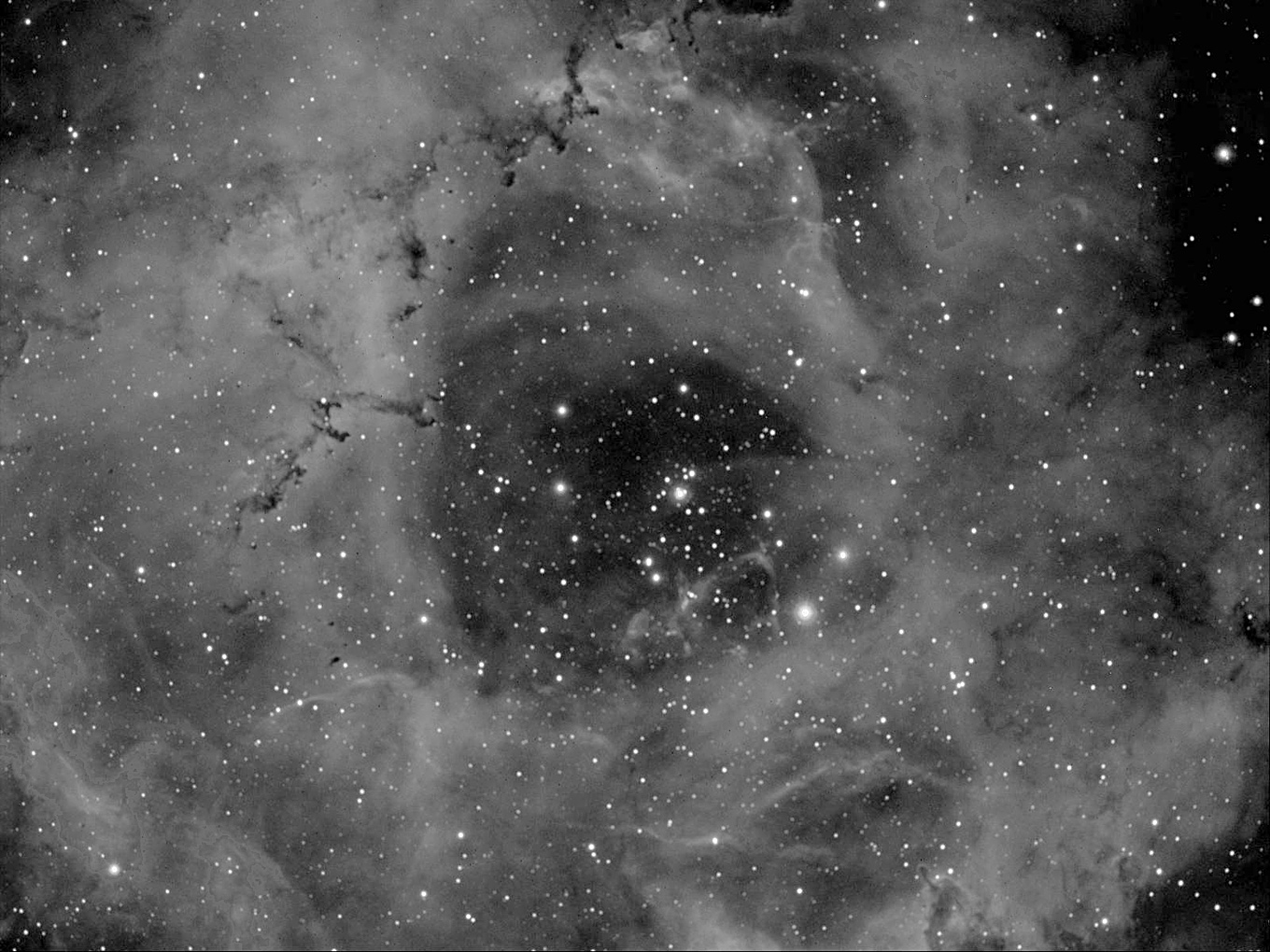 NGC2244 Rosette Nebula