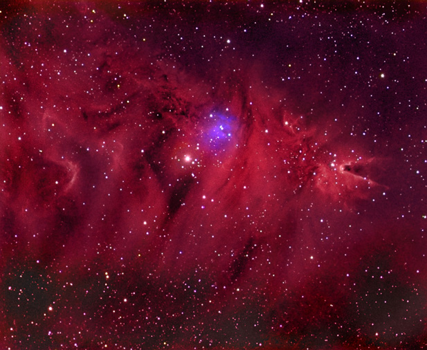 Cone Nebula and Christmas Tree Cluster