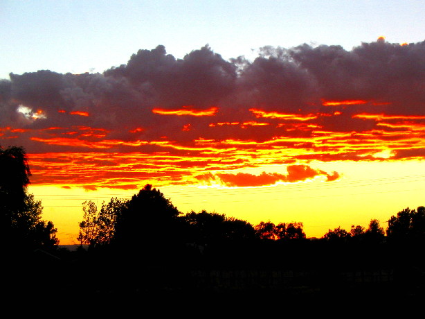 New Mexico Senset