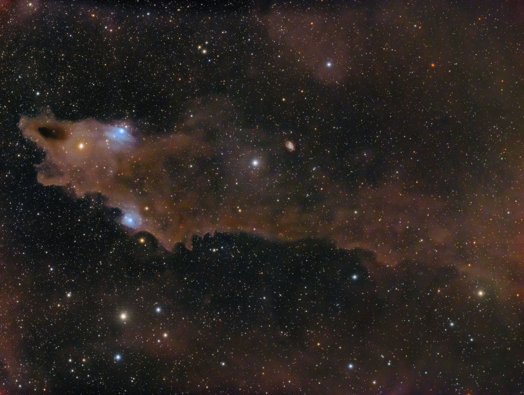 LDN1235 Shark Nebula