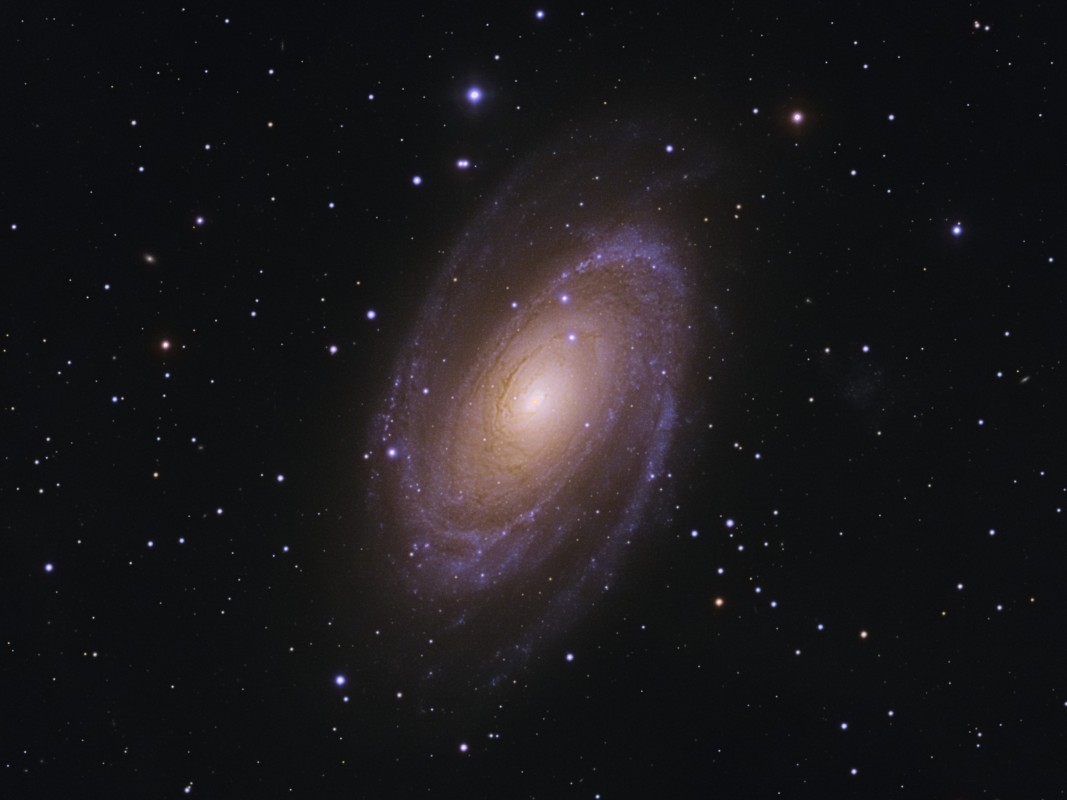 M81 Bode's Galaxy