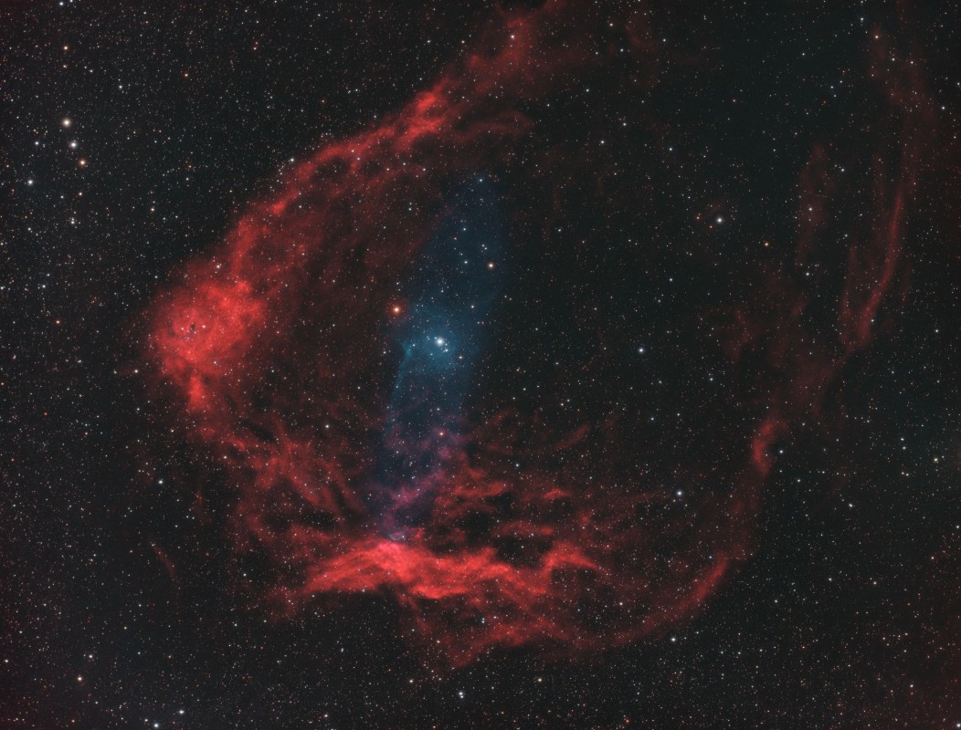 Sh2-129 Flying Bat and Squid Nebula