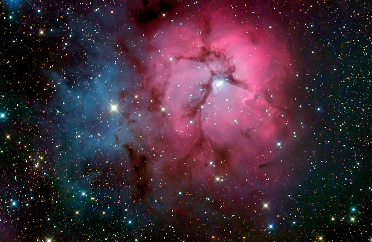Trifid Experiance