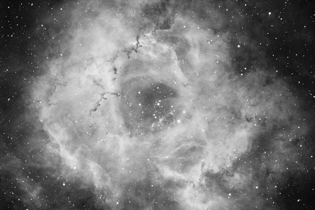 The Rosette Nebula