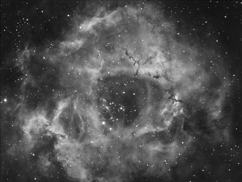 Rosette