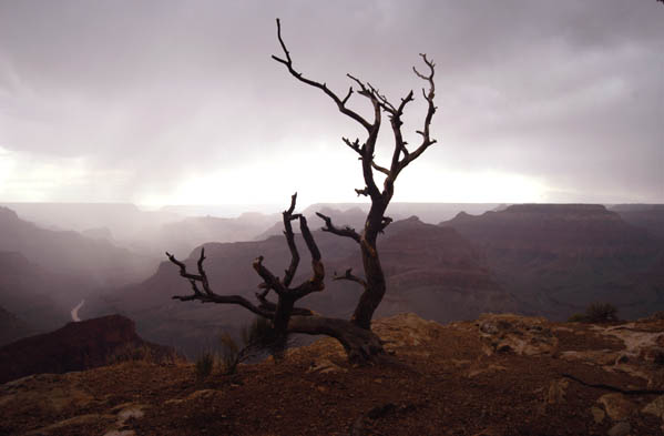 Clearing Storm