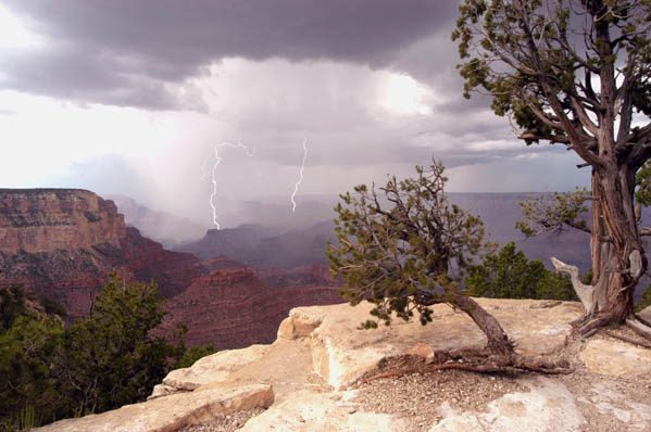 Grand  Lightning