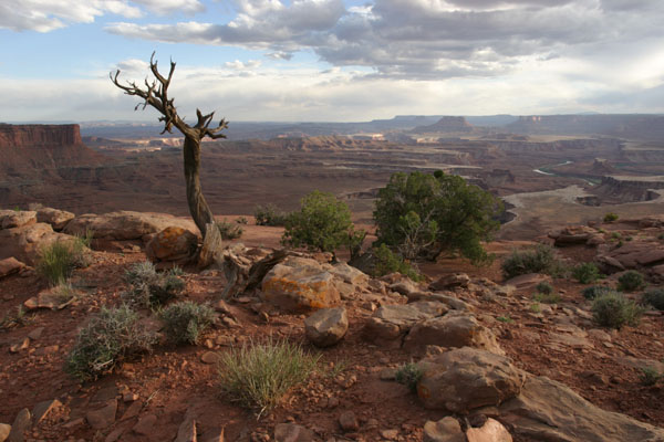Canyonlands II