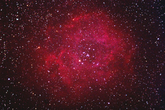 Rosette II