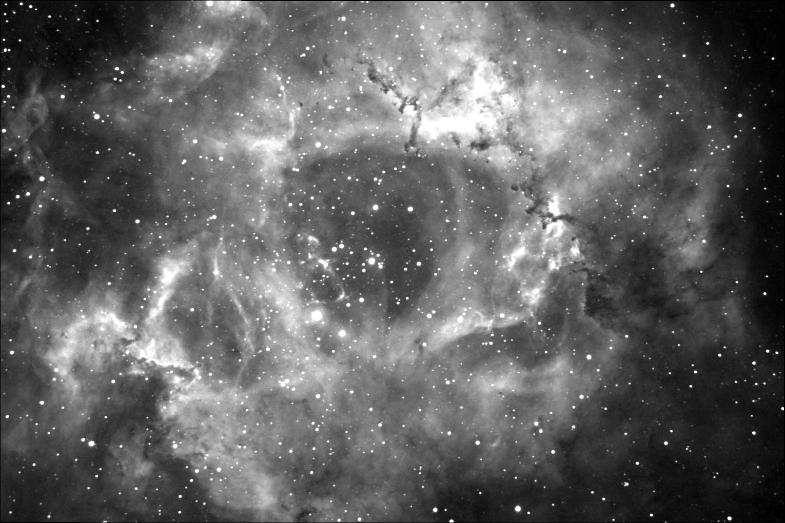 Rosette in Ha