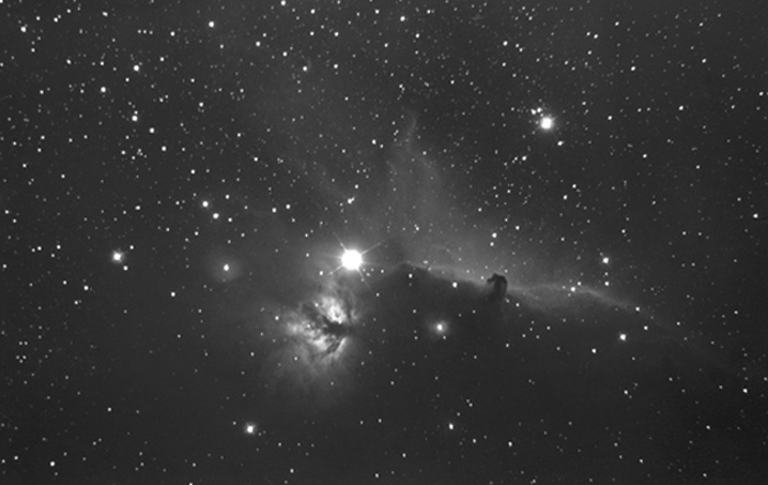 Horsehead