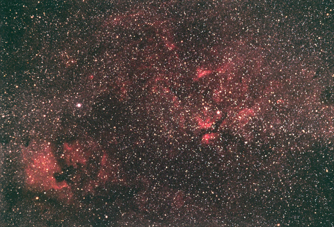 Cygnus Widefield