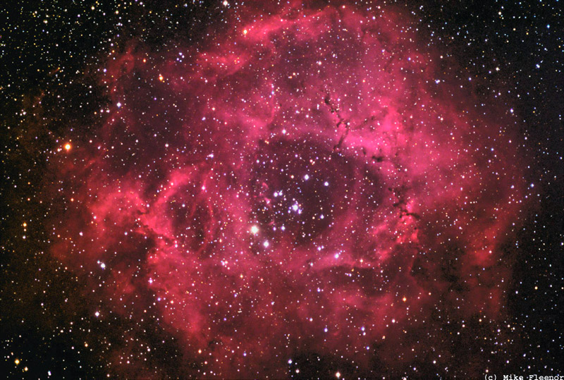 Rosette Nebula from Suburbia